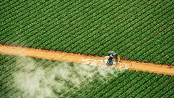 Best Best Pest Control Companies  in Crosbyton, TX