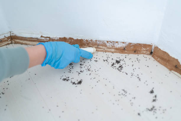 Best Pest Control Near Me  in Crosbyton, TX